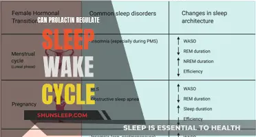 Prolactin's Role in Sleep-Wake Regulation: Unlocking the Mystery