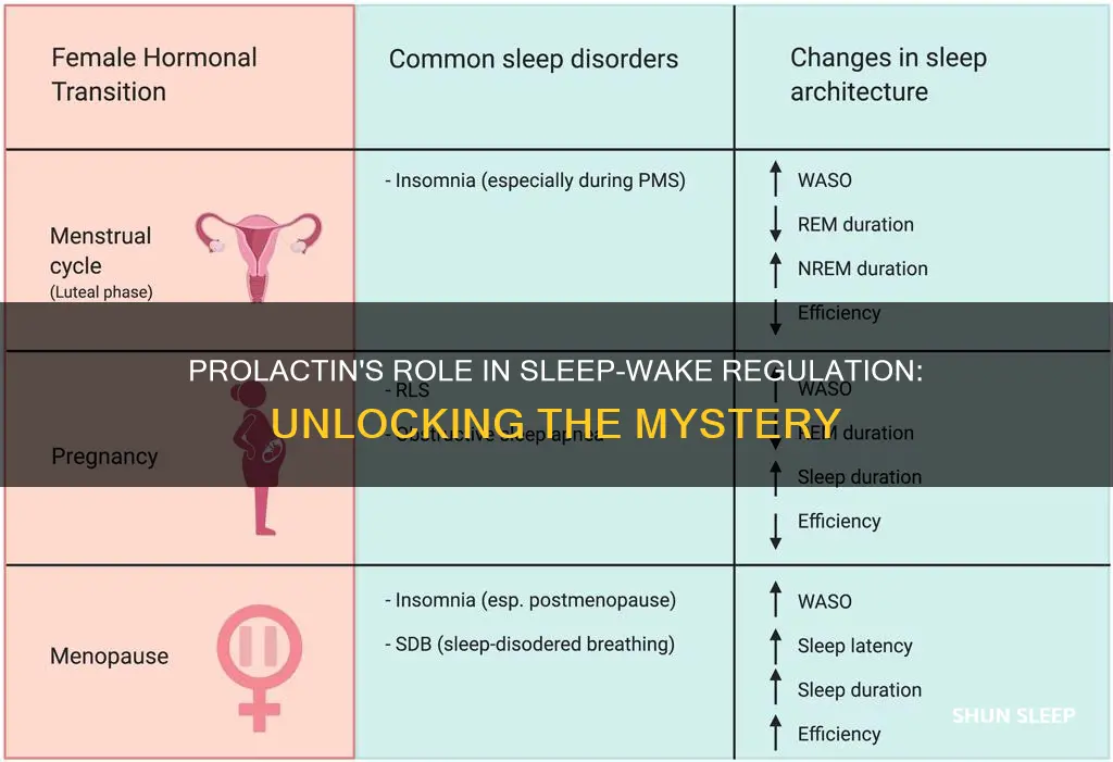 can prolactin regulate sleep wake cycle