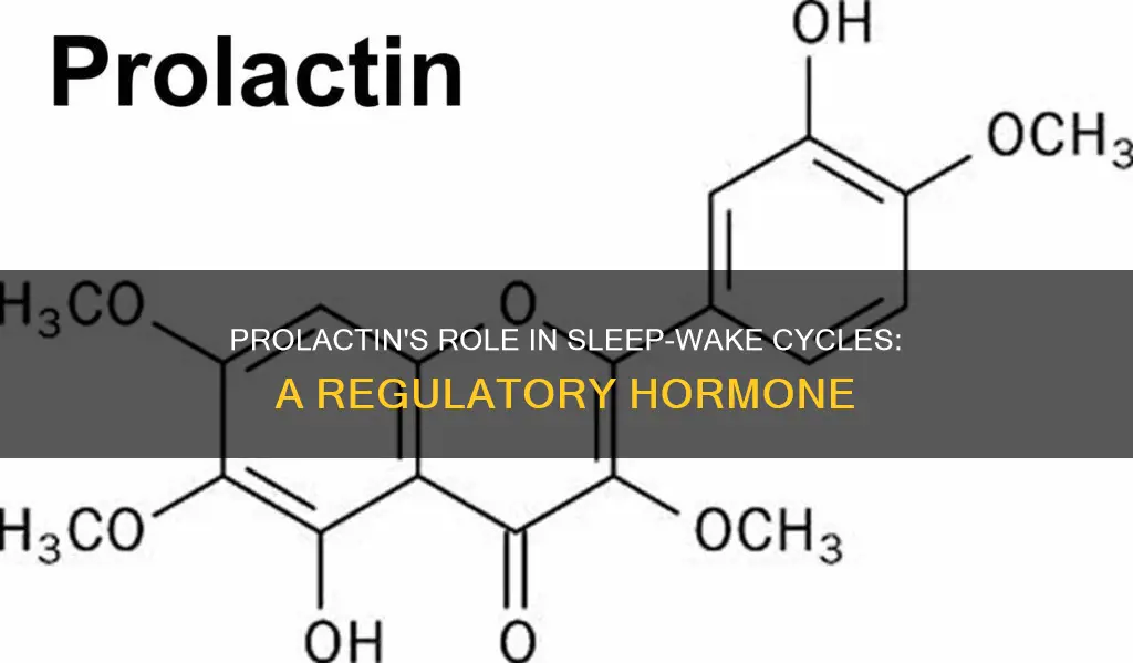 can prolactin regulate sleep wake cycle