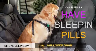 Are Sleeping Pills Safe for Puppies?