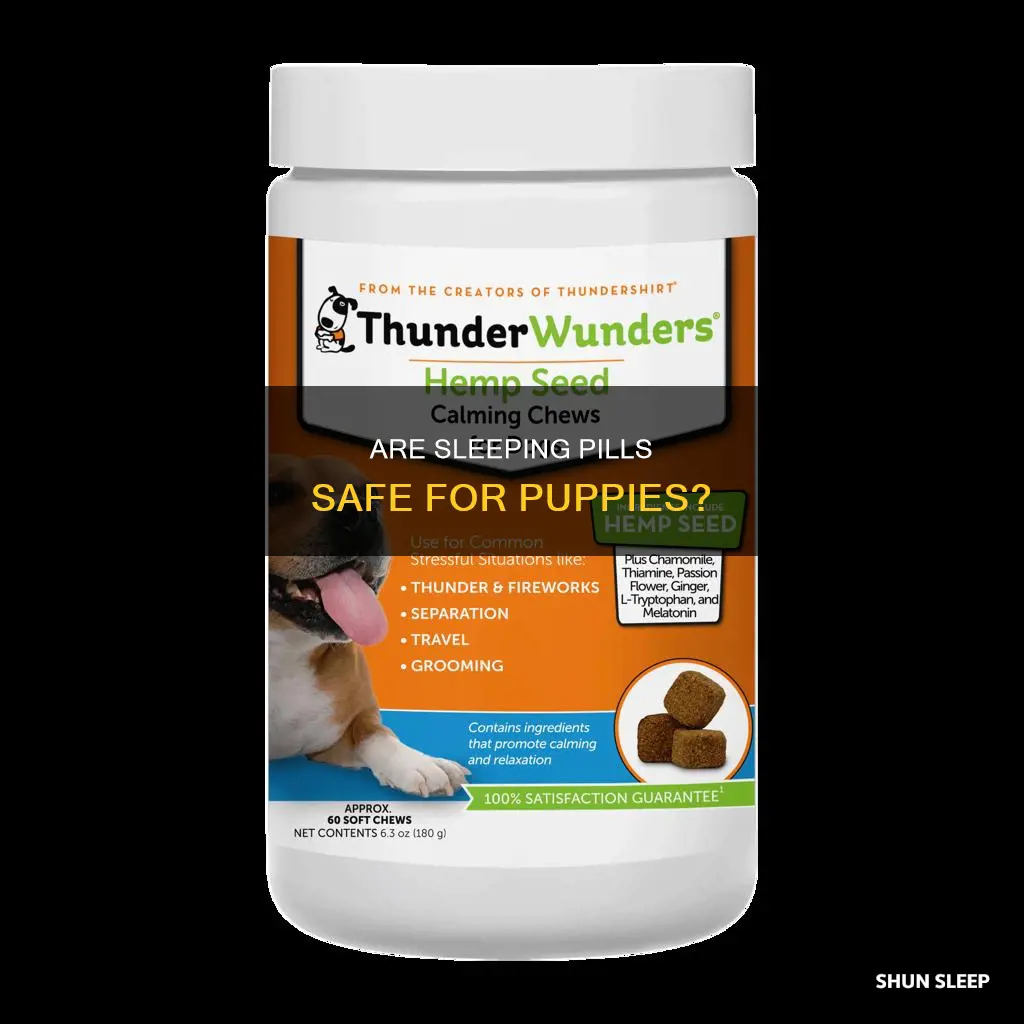 can puppies have sleeping pills