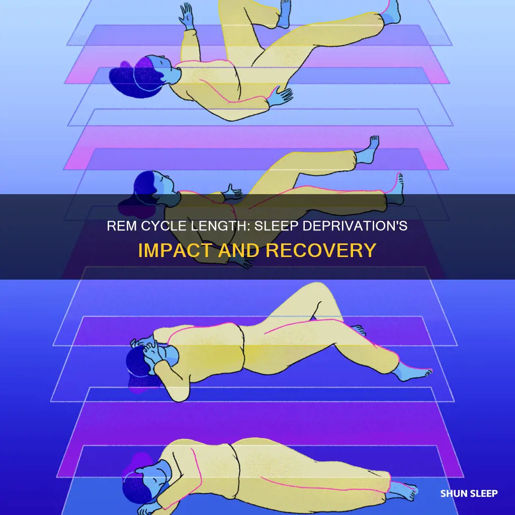 can rem cycle length increase after sleep deprvato