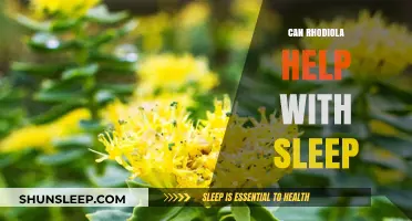 Rhodiola and Sleep: Can This Herb Improve Your Rest?