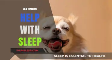 Rimadyl and Sleep: Exploring Its Potential Benefits for Better Rest