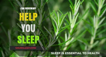 Rosemary for Sleep: Unlocking Restful Nights with Aromatic Benefits