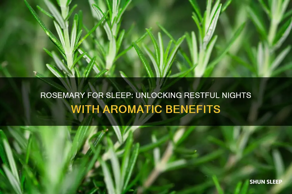 can rosemary help you sleep