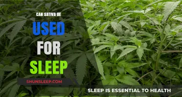 Sativa for Sleep: Is It Effective?
