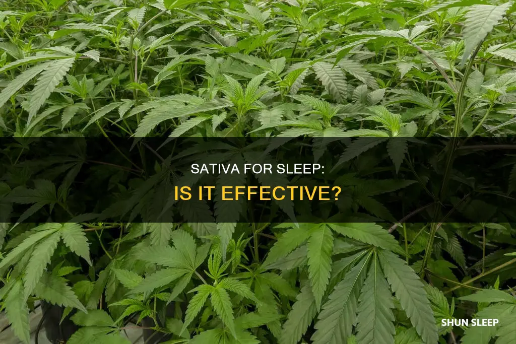 can sativa be used for sleep