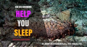 Sea Cucumber for Sleep: Unlocking Natural Rest and Relaxation