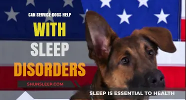Service Dogs and Sleep Disorders: Can Canines Improve Rest?