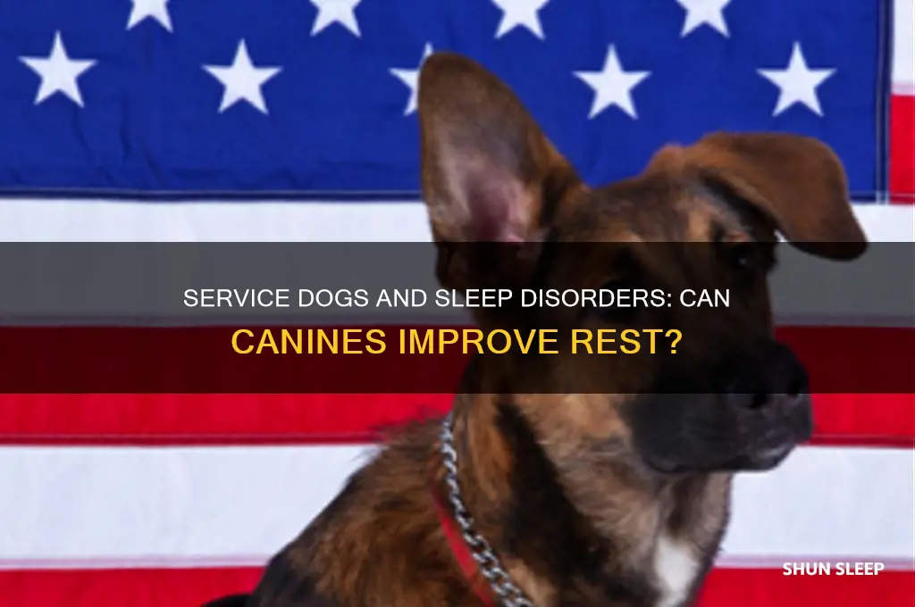 can service dogs help with sleep disorders