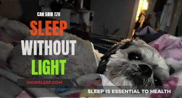 Shih Tzu Sleeping: Lights On or Off?