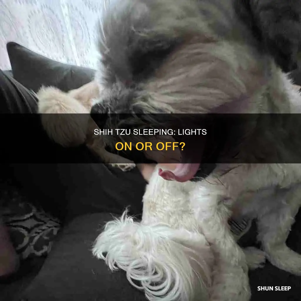 can shih tzu sleep without light