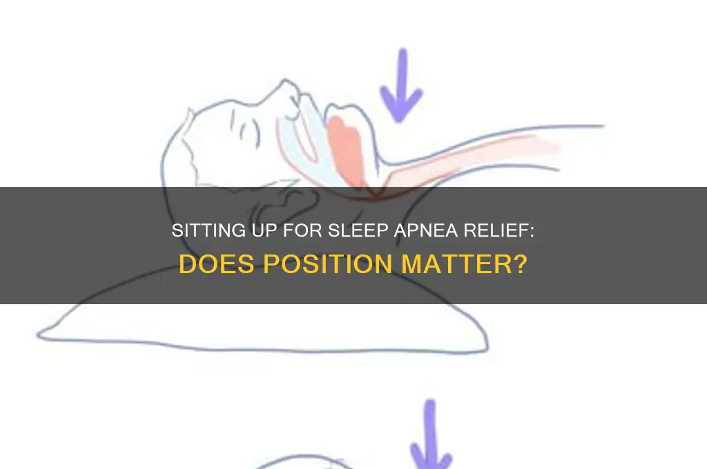 can sitting up help sleep apnea