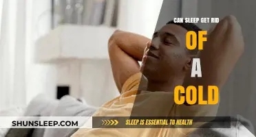 Sleep's Healing Power: Can Resting Actually Help You Beat a Cold?