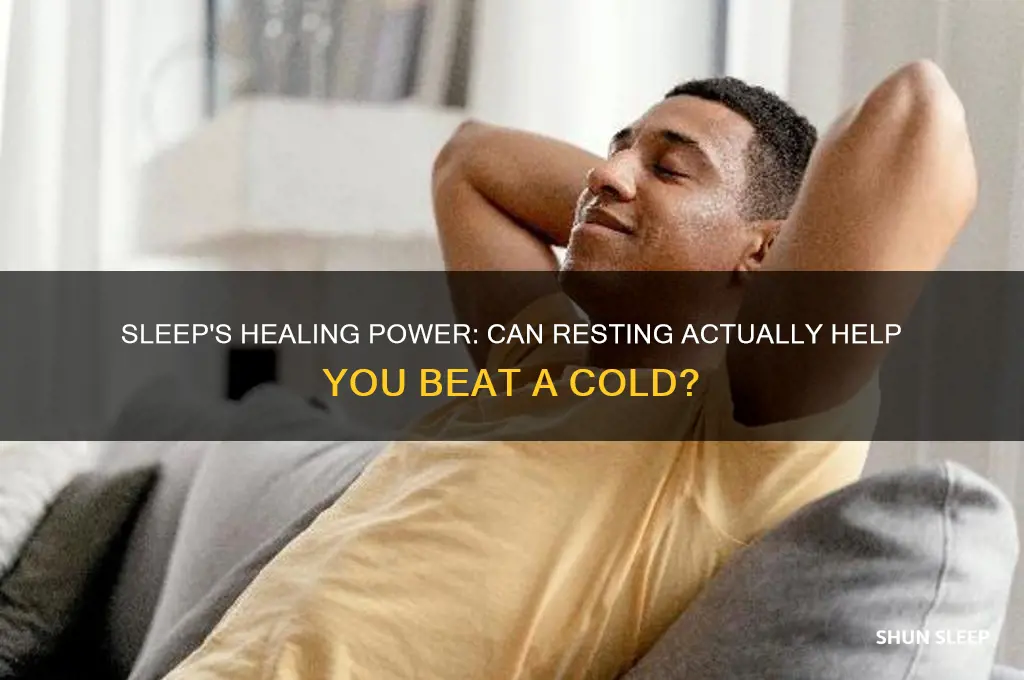 can sleep get rid of a cold