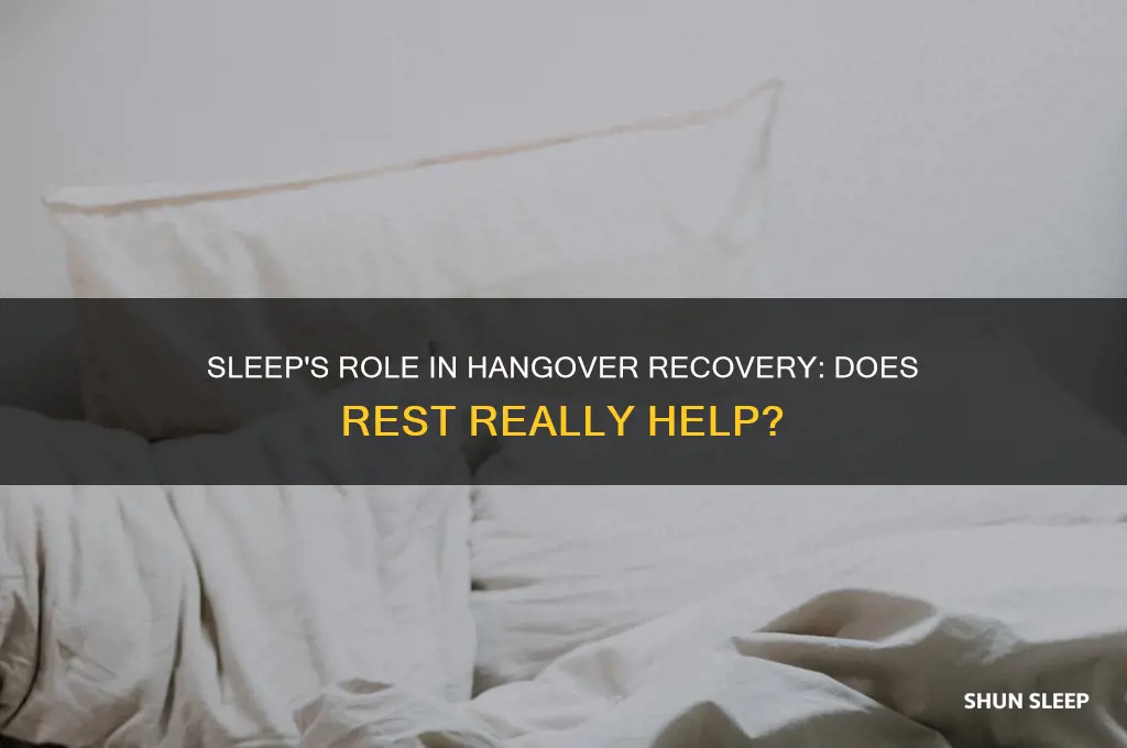 can sleep help a hangover