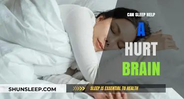 Sleep's Healing Power: Can Rest Repair a Damaged Brain?