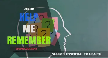 Sleep and Memory: How Rest Enhances Your Recall Abilities