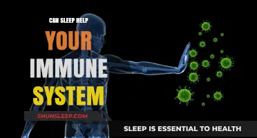 Boost Your Immunity: How Quality Sleep Strengthens Your Body's Defenses