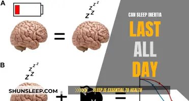 Sleep Inertia: Can It Last All Day?