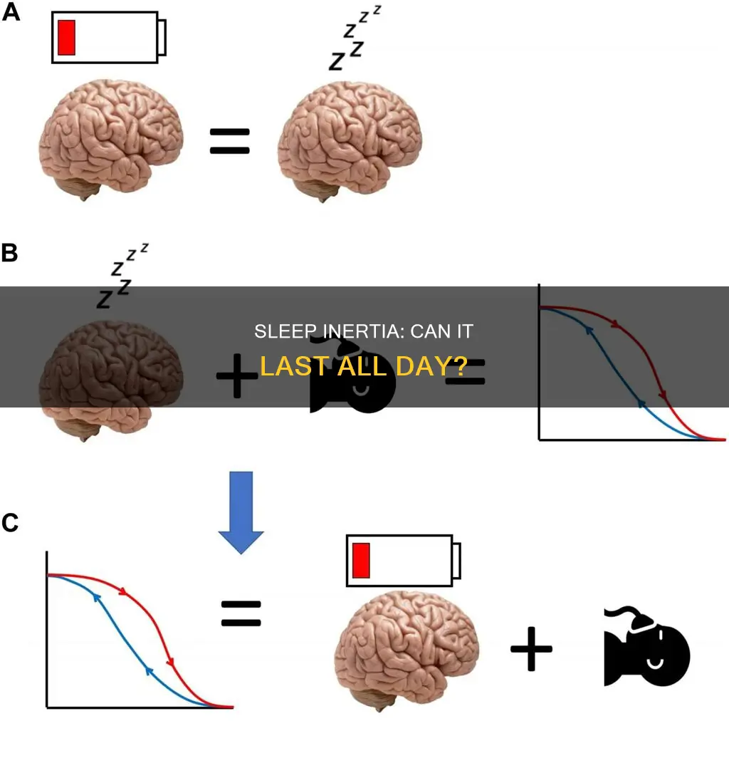 can sleep inertia last all day