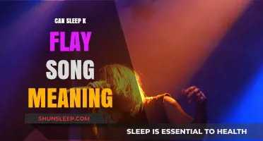 Sleep Paralysis: K.Flay's Song Interpretation