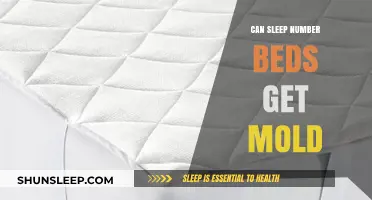 Can Sleep Number Beds Develop Mold? Prevention and Maintenance Tips
