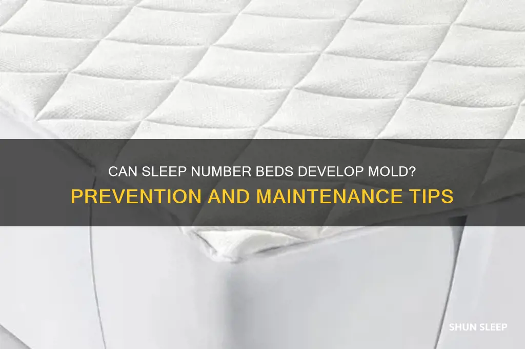 can sleep number beds get mold