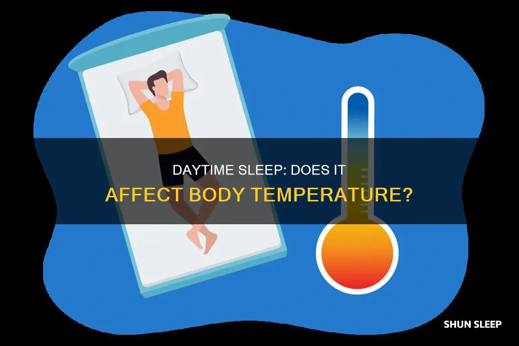 can sleeping during the day change body temperature