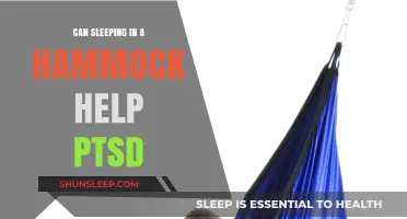 Hammock Therapy: Can Swaying Sleep Ease PTSD Symptoms?