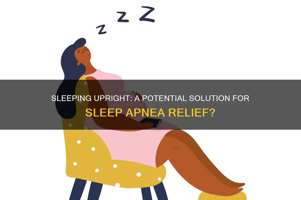 can sleeping upright help with sleep apnea