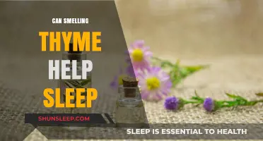 Can Thyme's Aroma Enhance Sleep Quality? Exploring Natural Remedies