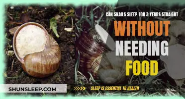 Snails: Sleeping Beauty or the Ultimate Survivalists?