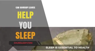 Soursop Leaves for Sleep: Natural Remedy or Myth?