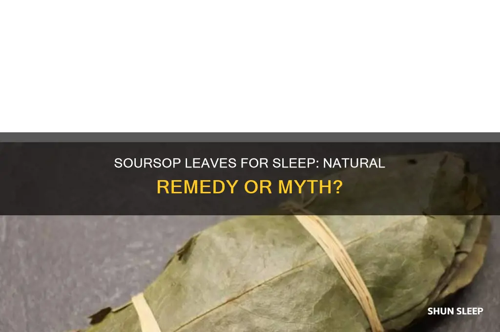can soursop leaves help you sleep