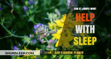 St. John's Wort for Sleep: Benefits, Risks, and Effectiveness Explained