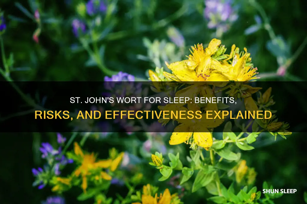 can st john