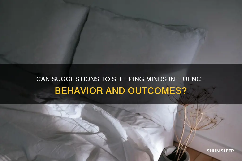 can suggestions to sleeping person get results