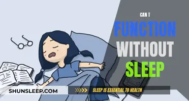 Sleep Deprivation: Functionality and Performance Impacts