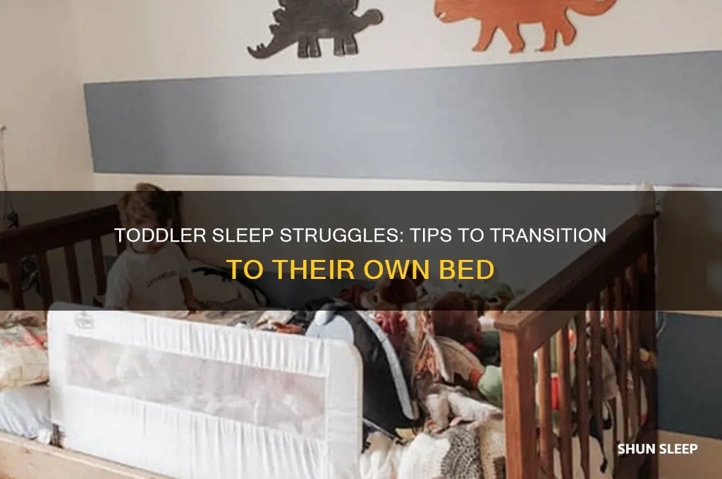 can t get toddler to sleep in own bed