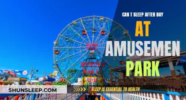 Amusement Park Fun: Why Can't I Sleep?