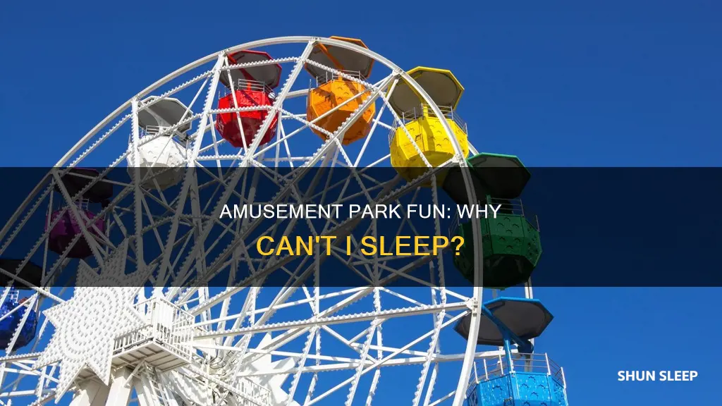 can t sleep after day at amusement park