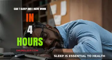 Sleepless Night Ahead: Surviving the 4-Hour Work Countdown