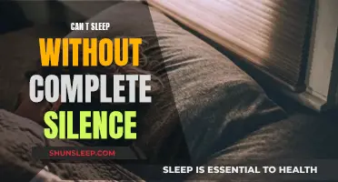 Silence for Sleep: A Necessity or a Nuisance?