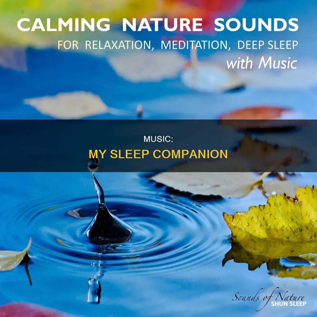 can t sleep without music