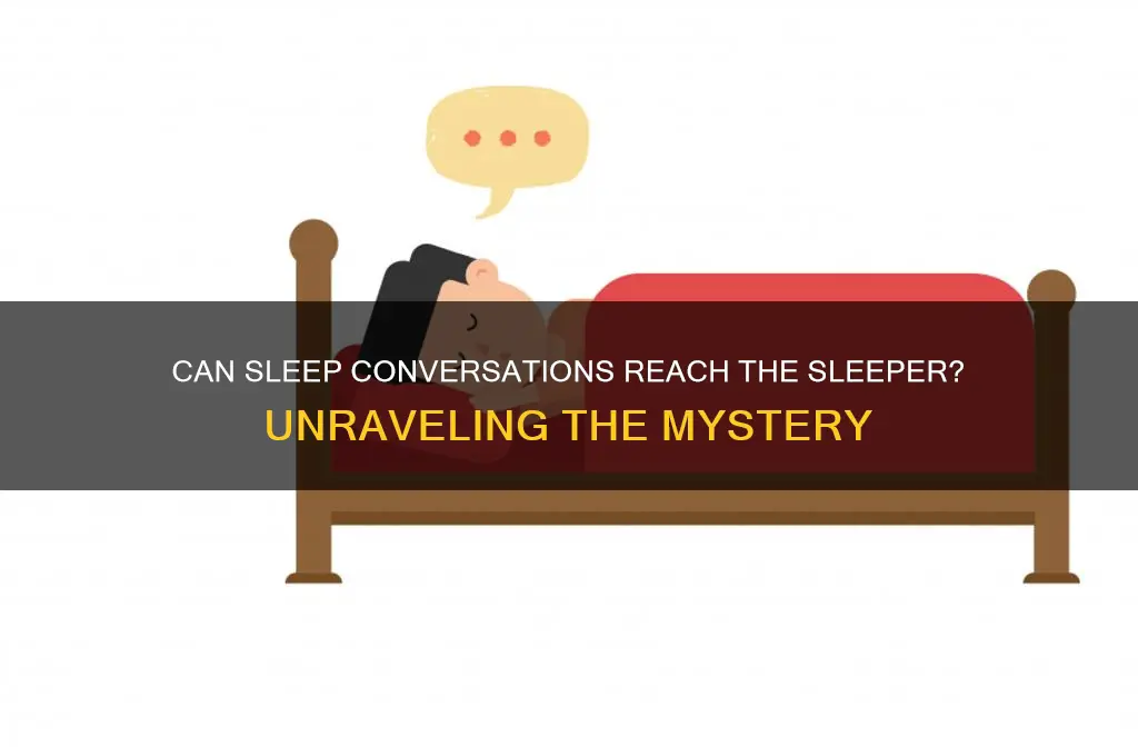 can talking to someone in their sleep get to tgem