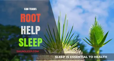 Teasel Root for Sleep: Natural Remedy or Myth?