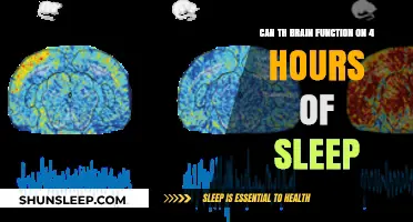 Unlocking Productivity: The Surprising Truth About Brain Function on Just 4 Hours of Sleep