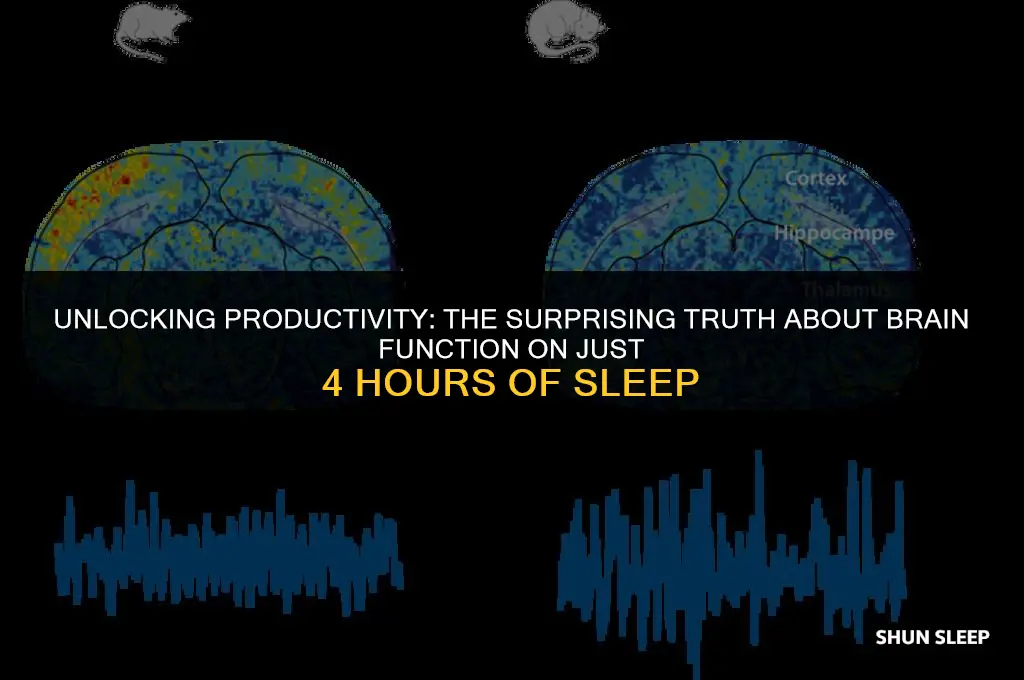can th brain function on 4 hours of sleep